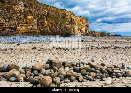 Gesteinsschichten in der Felswand und Strand von Nash Point in Wales. Mono-Version erhältlich bei DH8W7K Stockfoto