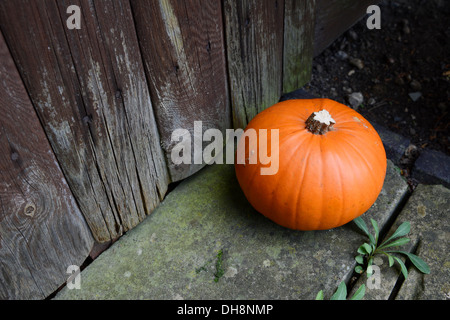 Reifen Kürbis auf einem Stein Schritt für eine verwitterte Holztür Stockfoto