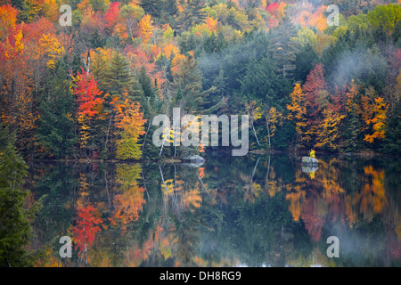 Bäume mit Herbst Blätter reflektieren in See Stockfoto