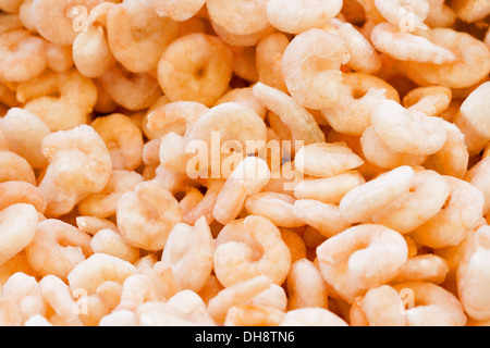 gefrorene Garnelen für Verkauf Closeup geschält Stockfoto