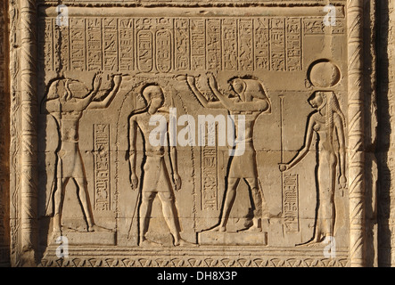 Detail des Reliefs im Chnum Tempel in Esna, eine Stadt in Ägypten (Afrika) Stockfoto