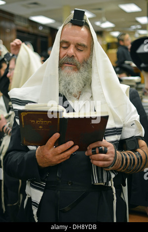 Religiöser jüdischer Mann betet mit Tefillin, Phylakterien und einem Gebetshawl im Lubavitch Hauptquartier in Brooklyn, New York Stockfoto