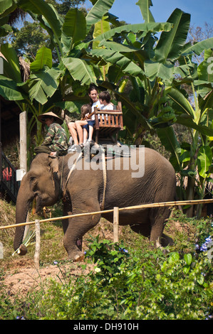 Vertikale Nahaufnahme von westlichen Touristen auf ein Elefanten-Trekking in Laos. Stockfoto