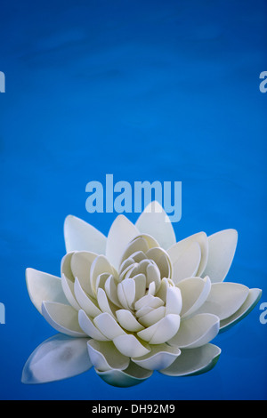 Eine künstliche Seerose auf dem blauen Wasser schwimmt Stockfoto