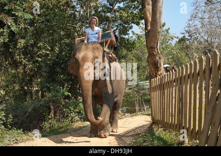 Horizontale Nahaufnahme eines Touristen auf ein Elefanten-Trekking in Laos. Stockfoto