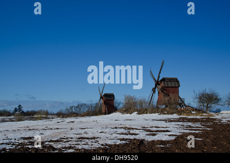 Anfang Frühling Stockfoto