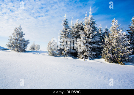 Winterliche Szene in den Bergen an sonnigen Tagen Stockfoto