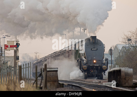 60009 Union of South Africa Köpfe durch Whittlesey. Stockfoto