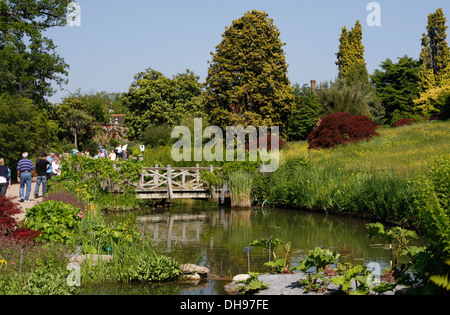 RHS Wisley Gärten im Sommer Stockfoto