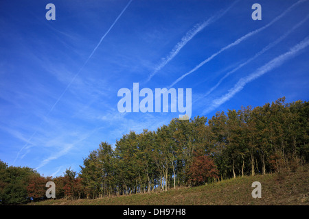 Kondensstreifen am blauen Himmel über Wald. Stockfoto