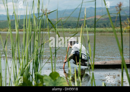 Dorfbewohner, die Reisen mit dem Boot und arbeiten auf Kanälen, die zu Inya See; Shan State in Myanmar Stockfoto