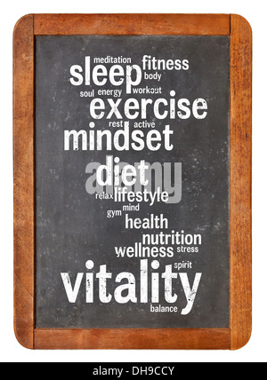 Wolke aus Worten oder Tags, die im Zusammenhang mit Lebenskraft oder Lebensenergie Konzept auf einer Vintage Schiefer Tafel isoliert auf weiss Stockfoto