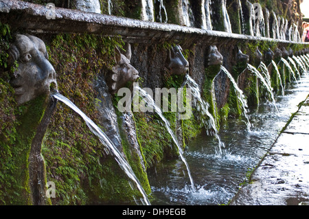 Tierische Kopf Brunnen in der hundert Brunnen-Allee, Le Cento Fontane, Villa d ' Este, Tivoli, Lazio, Italien Stockfoto