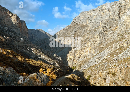 Blick in die Schlucht Kourtaliotiko, aka Asomatos Schlucht, auf der südlichen Seite des westlichen Teils der Insel Kreta. Stockfoto