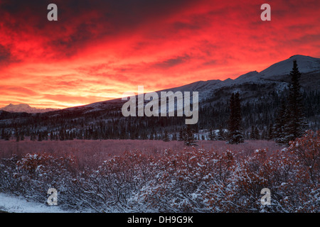 Sonnenaufgang über dem Denali Nationalpark, Alaska. Stockfoto