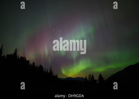 Nordlicht über die Chugach National Forest, Alaska. Stockfoto