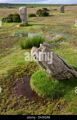 Trippet Steinen ist die Bezeichnung für einen Steinkreis in einem etwas abgelegenen und windgepeitschten Teil des Bodmin Moor, Stockfoto