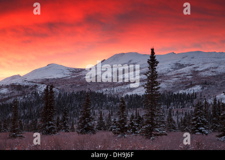 Sonnenaufgang über dem Denali Nationalpark, Alaska. Stockfoto