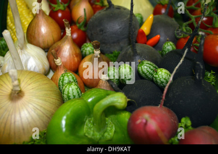 Preisgekrönte Display Mischgemüse in Harrogate Herbst Flower Show Yorkshire Stockfoto