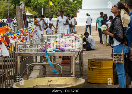 Blumen und Nahrung bieten, Mönche in einem buddhistischen Tempel in Sri Lanka Stockfoto