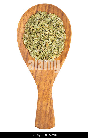 Fenchelsamen (Foeniculum Vulgare) in den Kochlöffel auf weißem Hintergrund Stockfoto