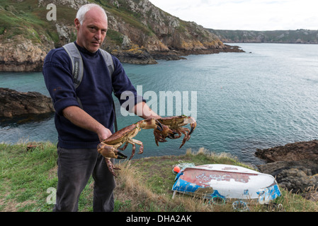 Ein einheimischer Fischer trägt einen traditionellen Guernsey Pullover mit zwei großen braunen Taschenkrebse. Guernsey, Channel Islands. Stockfoto