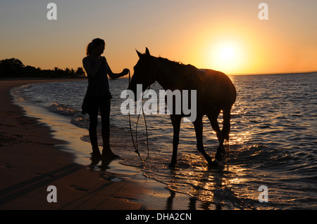 Pferd & Fahrer bei Sonnenuntergang Benguerra Insel Bazaruto Archipel Mosambik Ost-Afrika. Stockfoto