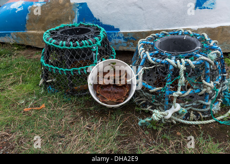 Ein paar frisch gefangenen braun Taschenkrebse neben einigen Hummer-Töpfen. Guernsey, Channel Islands. Stockfoto