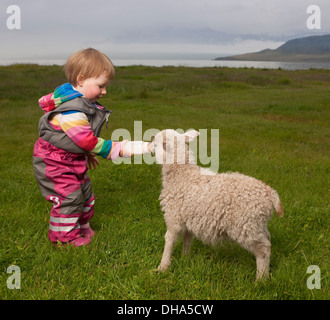 Kleinkind füttern einem jungen Lamm eine Flasche, Eskifjordur, Island Stockfoto