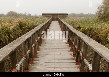 Fußgängerbrücke in Nationalpark Las Tablas de Daimiel. Pasarela En el Parque Nacional de Las Tablas de Daimiel. Stockfoto