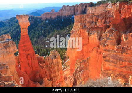 Frühen Morgenlicht in Agua Canyon leuchtet die orange Sandstein Hoodoos im Bryce-Canyon-Nationalpark, Utah Stockfoto