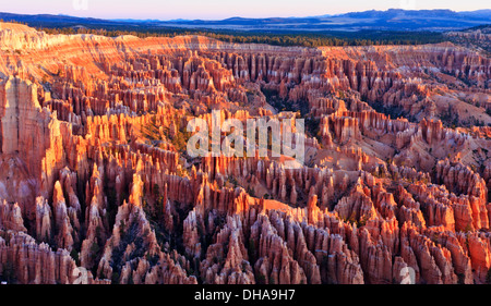 Sunrise scheint ausgeschaltet die Hoodoos, gesehen vom Bryce Point im Bryce-Canyon-Nationalpark, Utah Stockfoto