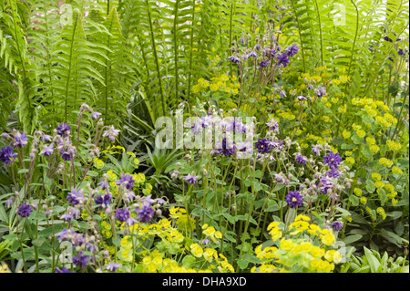 Chelsea Flower Show 2013, East Village Garden, Designer Michael Balston und Marie-Louise Agius. Gold-Medaille. Stockfoto