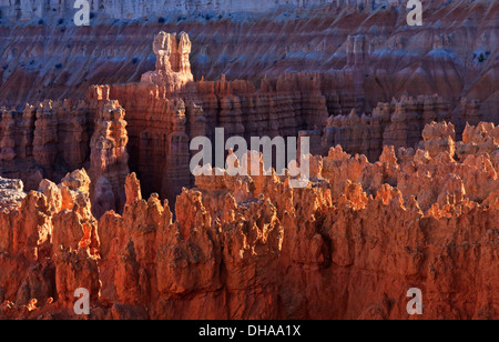 Späten Nachmittag Sonne Blicke aus den Spitzen von einem Bergrücken der Hoodoos im Bryce-Canyon-Nationalpark, Utah Stockfoto