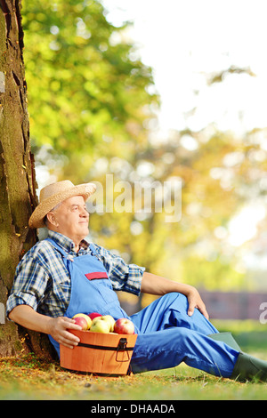 Männliche Arbeiter mit Korb der geernteten Äpfel sitzen im Obstgarten Stockfoto