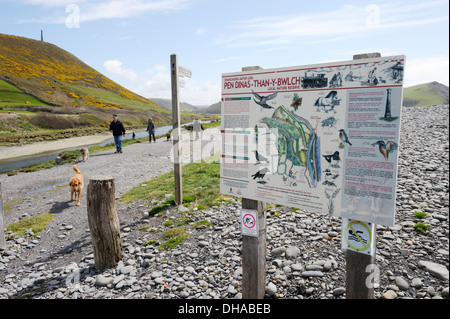 Pen Dinas und Tan y Bwlch Naturreservat, Informationstafel mit Hundegängern und Hunden, Aberystwyth, Wales, Großbritannien Stockfoto