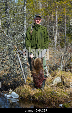 Jäger hält getötet Eurasische Biber / europäische Biber (Castor Fiber) schoss mit Gewehr in der Nähe von Teich, Dalarna, Schweden, Scandinavia Stockfoto
