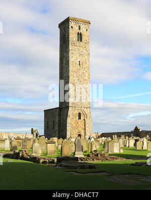 St Rule Turm auf dem Gelände der Ruinen der Kathedrale von St Andrews, Fife, Schottland Stockfoto
