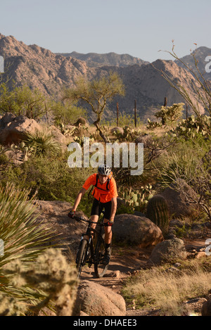 Ein Radfahrer fährt ein Mountain-Bike auf dem 50 Jahr-Trail auf Staatsland Vertrauen in die Sonora-Wüste, Catalina, Arizona, USA. Stockfoto