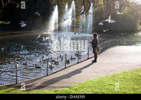 Frau, Fütterung der Vögel, Jephson Gärten, Leamington Spa UK Stockfoto