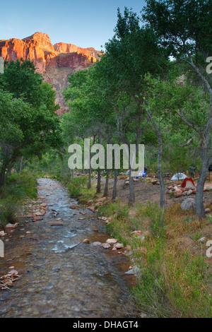 Bright Angel Creek und Campingplatz und das Ende der South Kaibab Trail, Grand Canyon Nationalpark in Arizona. Stockfoto