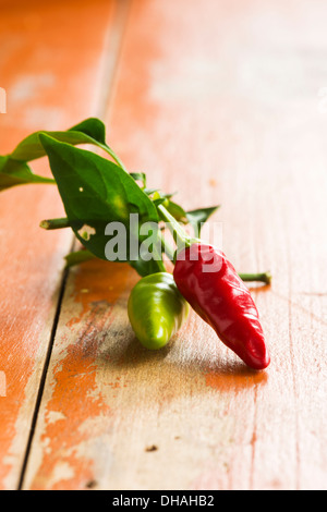ROTE UND GRÜNE CHILISCHOTEN Stockfoto