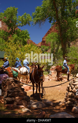 Packen Sie Pantoletten im Phantom Ranch am Ende der Grand Canyon Nationalpark in Arizona. Stockfoto