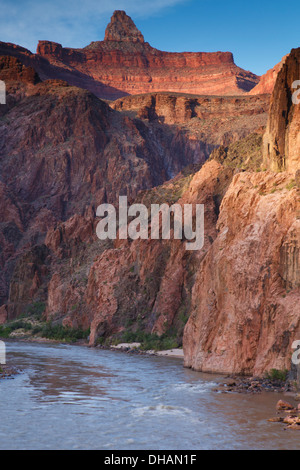 Colorado River von der Bright Angel Trail am Ende der Grand Canyon Nationalpark in Arizona. Stockfoto