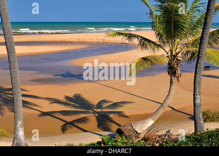 Brasilien, Bahia: Paradiesstrand Praia Imbassaí Stockfoto