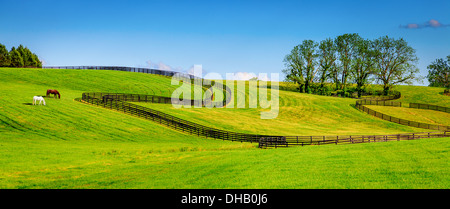 Reiterhof mit schwarzen Zäune Stockfoto