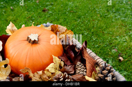 Nahaufnahme von Reifen Kürbis mit Herbstlaub und Tannenzapfen in einem Korb auf dem Rasen Stockfoto