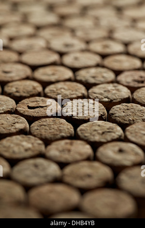 Viele Korken aus verschiedenen Flaschen. Stockfoto