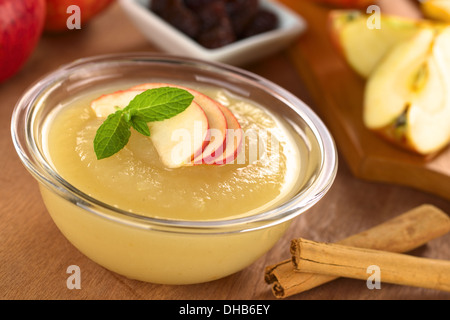 Frische hausgemachte Apfelmus mit Zimtstangen auf der Seite, Apfel und Rosinen in den Rücken Stockfoto