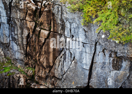 Kalkstein in Hull Topf im Herbst Horton in Ribblesdale Yorkshire Dales England Stockfoto